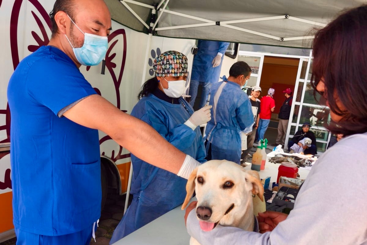 AYUNTAMIENTO DE TLAXCALA LLAMA A CONTINUAR CON EL FORTALECIMIENTO DEL CUIDADO DE LAS MASCOTAS