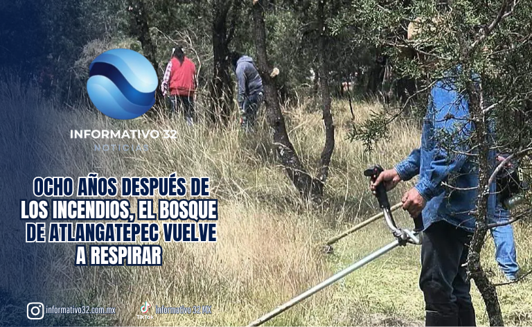 OCHO AÑOS DESPUÉS DE LOS INCENDIOS, EL BOSQUE DE ATLANGATEPEC VUELVE A RESPIRAR