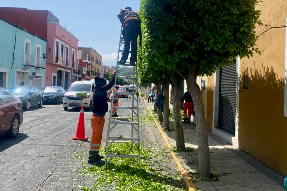 ¡MÁS TERRITORIO EN ACCIÓN! REALIZAN PODA EN LA CALLE LARDIZÁBAL