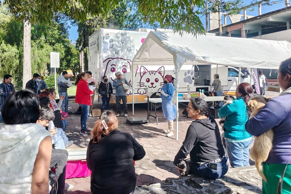 CONCLUYE CON ÉXITO JORNADA DE BIENESTAR ANIMAL EN TIZATLÁN Y SAN GABRIEL CUAUHTLA; HOY LLEGA A ATEMPAN