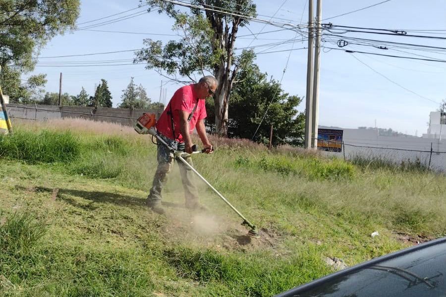 ¡MANOS A LA OBRA EN OCOTLÁN! INICIAN FAENA PARA RECUPERAR ÁREA VERDE