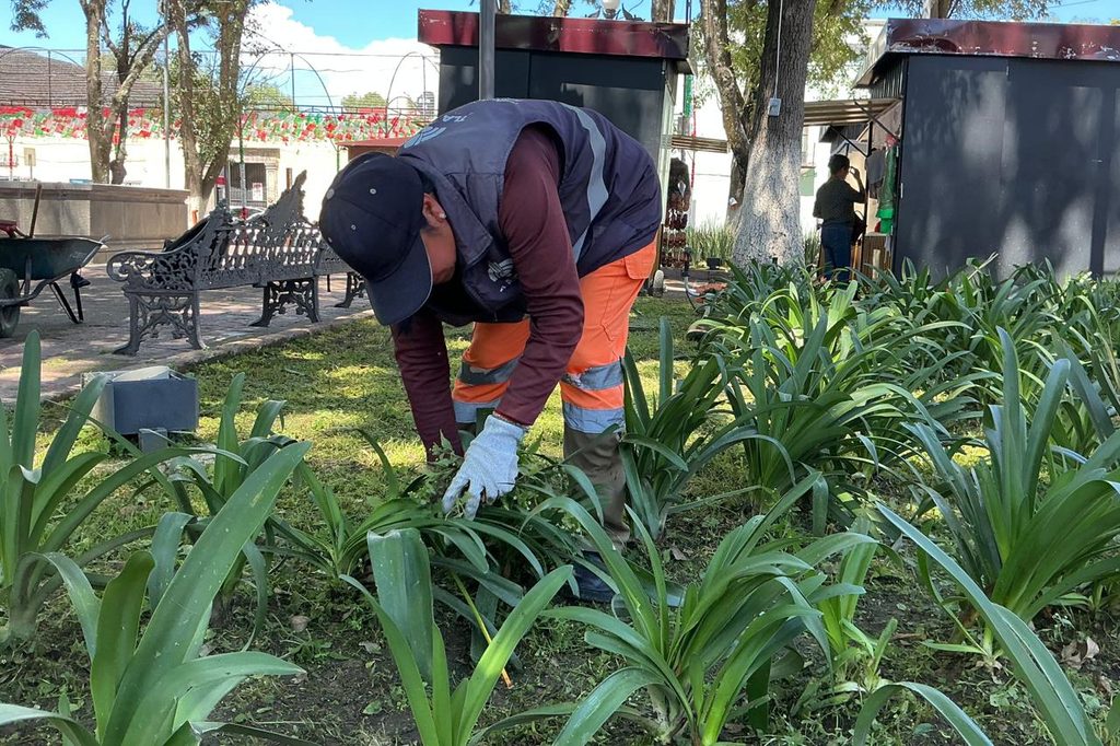 SERVICIOS PÚBLICOS DE LA CAPITAL DA MANTENIMIENTO A ÁREAS VERDES DE LA PLAZA XICOHTÉNCATL
