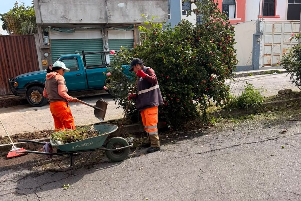 ¡MÁS TERRITORIO LLEGA A ACUITLAPILCO! DESAZOLVAN REJILLA Y REALIZAN PODA EN DOS CALLES