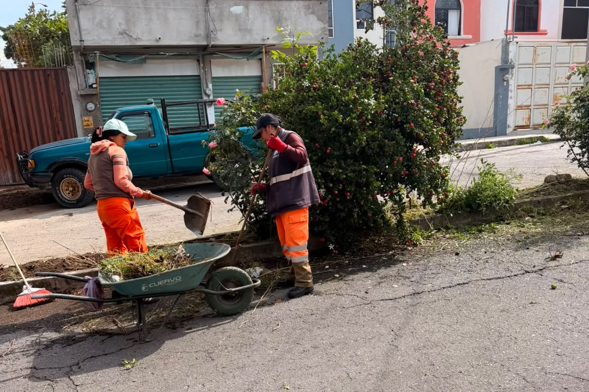 ¡MÁS TERRITORIO LLEGA A ACUITLAPILCO! DESAZOLVAN REJILLA Y REALIZAN PODA EN DOS CALLES