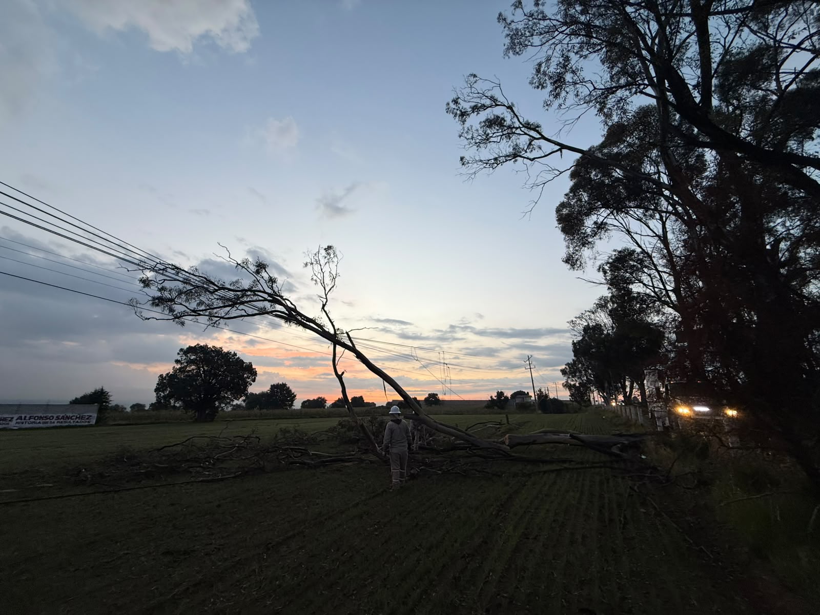 AYUNTAMIENTO DE HUAMANTLA ATIENDE DE MANERA INMEDIATA CAÍDA DE ÁRBOL QUE AFECTÓ SUMINISTRO ELÉCTRICO EN EL CORREDOR INDUSTRIAL