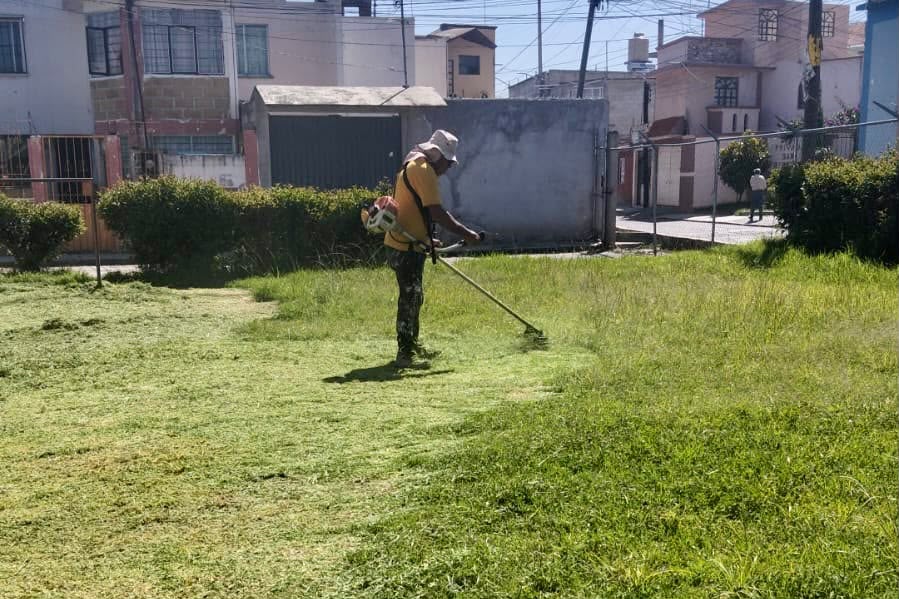 ¡MANOS A LA OBRA EN LA LAGUNA! BRIGADAS MUNICIPALES MEJORAN ÁREA VERDE EN MIRAFLORES