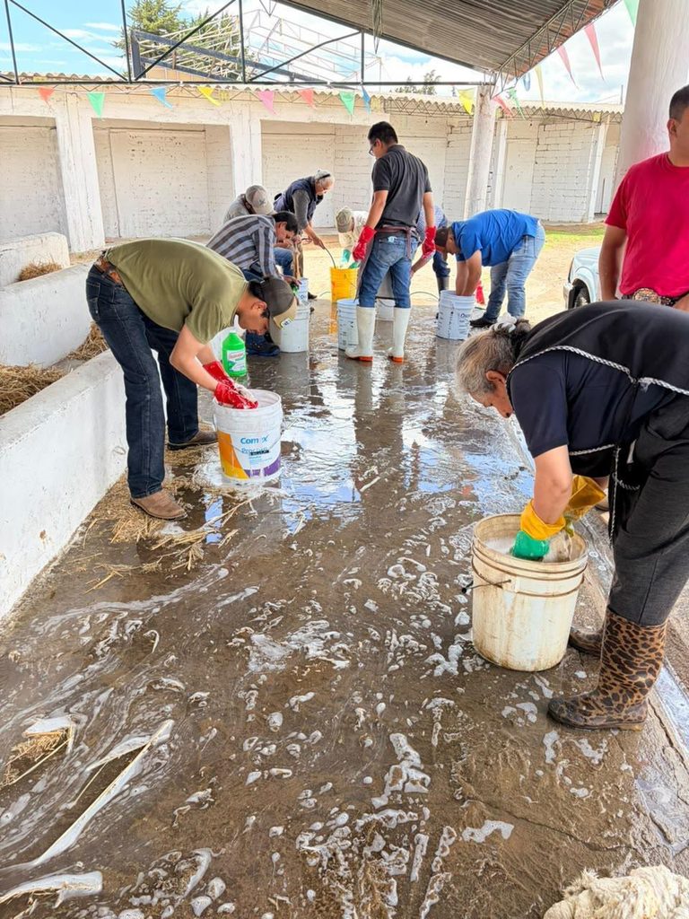 HUAMANTLA IMPULSA APROVECHAMIENTO DE SUBPRODUCTOS PECUARIOS CON TALLER DE CURTIDO DE PIELES