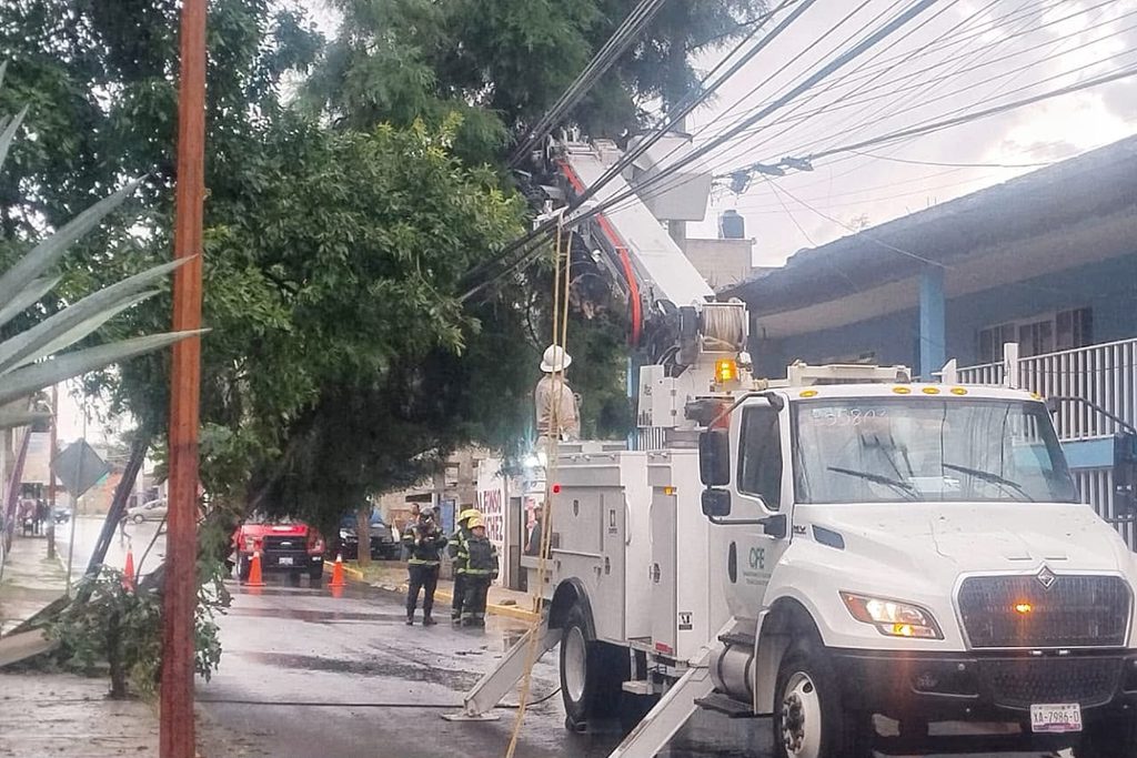 POLICÍA MUNICIPAL ATIENDE REPORTE POR ÁRBOL CAÍDO EN SAN ESTEBAN TIZATLÁN