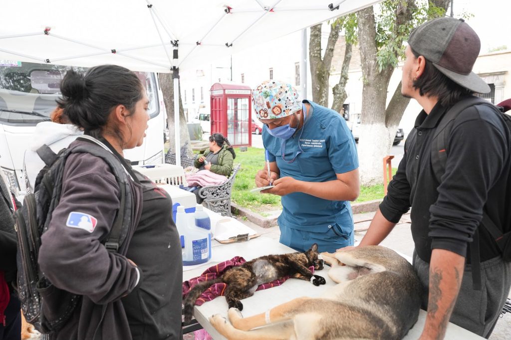 COMO PARTE DE LA CARAVANA DE SALUD GOBIERNO MUNICIPAL DE TLAXCALA Y SESA PROMUEVEN EL BIENESTAR ANIMAL CON JORNADA DE ESTERILIZACIÓN